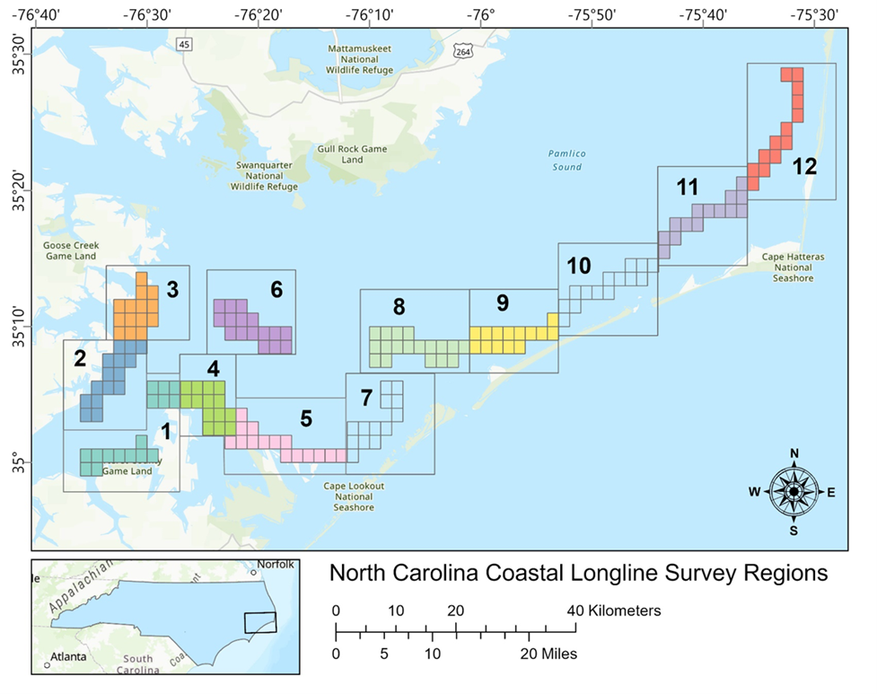 Picture1 Figure 1. The random grid system and sample regions used in the North Carolina Coastal Longline Survey. Regions 7 and 10 have been discontinued from sampling as of 2023.