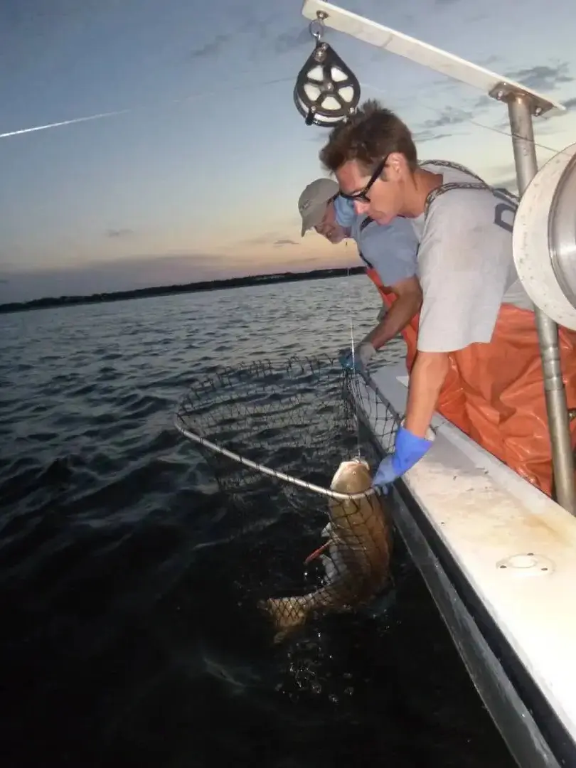 Two men on a boat with fish in the water.